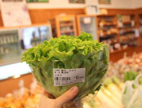 【お買い物】新鮮な野菜がずらり</br>『高浜市場きなーれ』