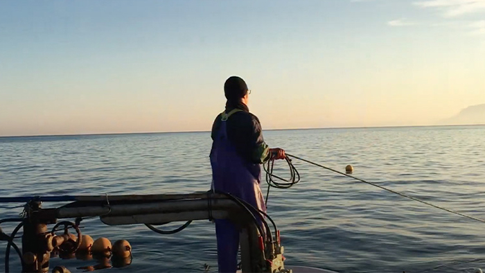 漁業の６次産業化プロジェクト『UMIKARA』はじまる