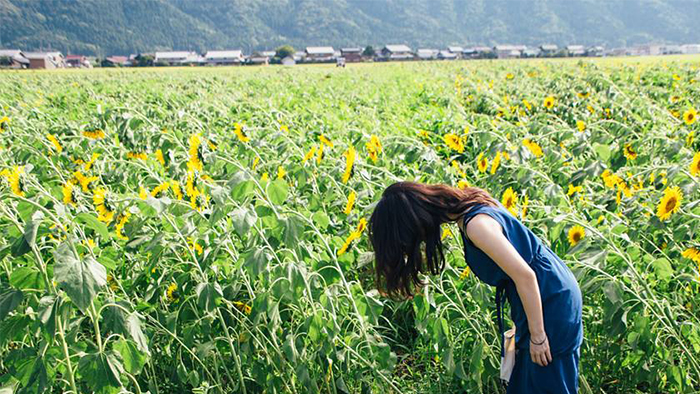 ～夏休みのススメ～番外編  小浜・若狭町編