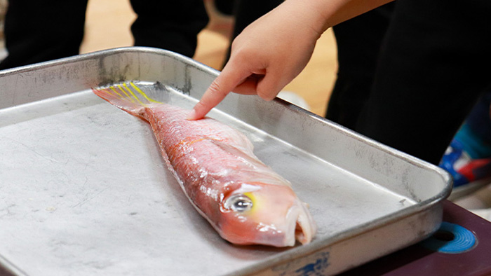 楽しく、おいしく、地産地消。地域ぐるみで行う、幼児期の食育。